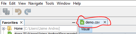File Display Name